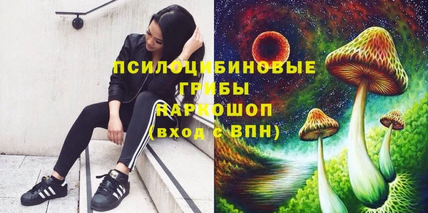 мяу мяу мука Абдулино