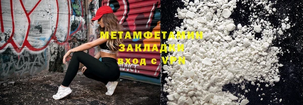прущие грибы Дмитриев