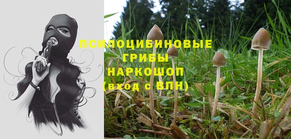 мяу мяу мука Абдулино