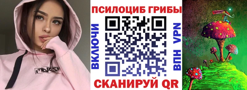 цена наркотик  Эртиль  блэк спрут ONION  Псилоцибиновые грибы Psilocybine cubensis 
